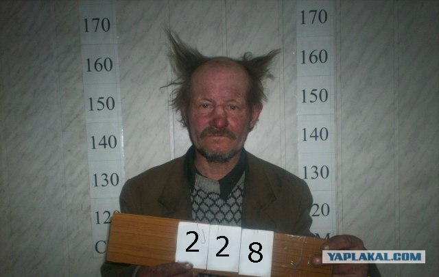 Домовенок...