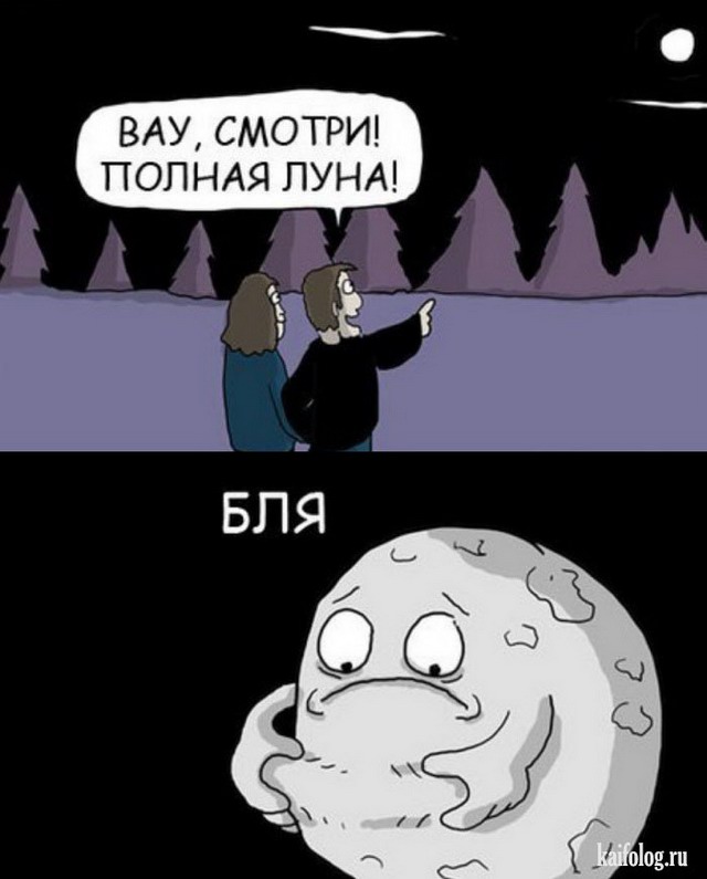 Весёлый полтишок 17.03