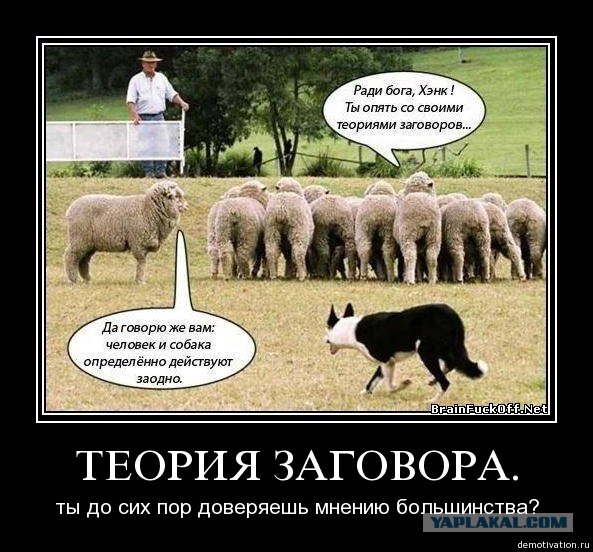 Расшифровка "i pet goat 2"