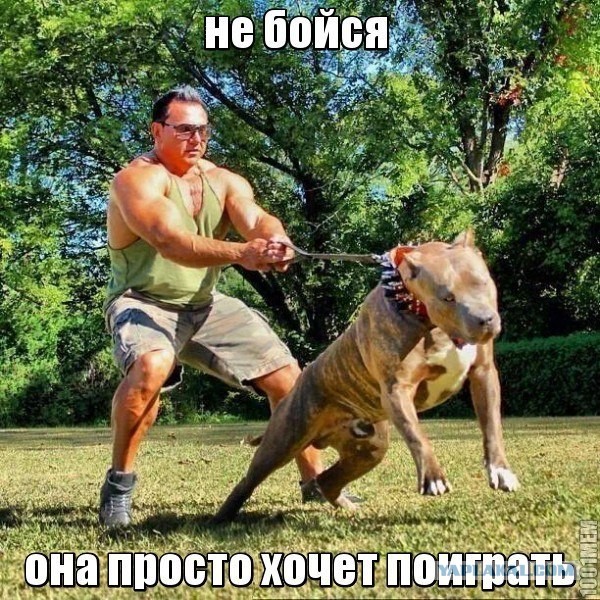 Да вы не бойтесь, они просто так играются