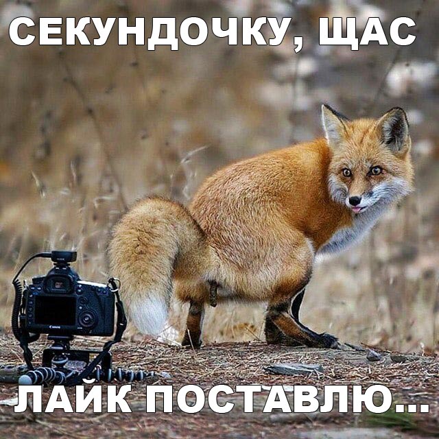 Несколько пикч ни о чём в понедельник