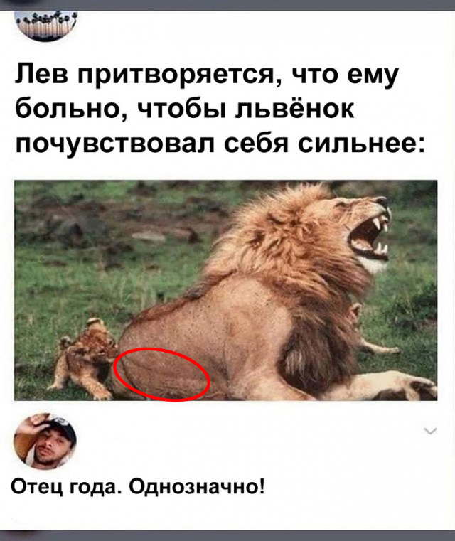 Весёлый полтишок 4.05