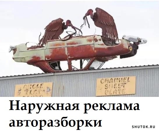 Просто картинки 05.07.2021