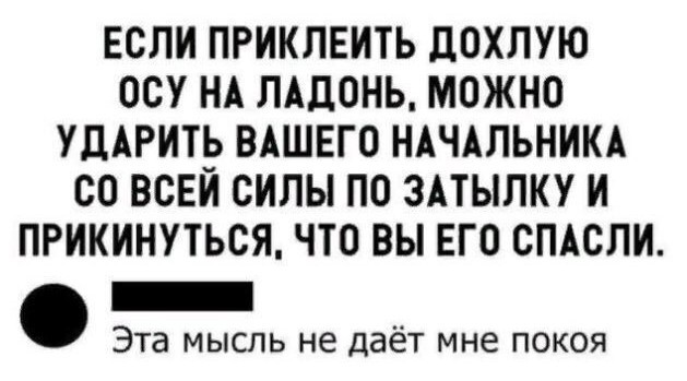 Картинки всякие и аморальные - 10