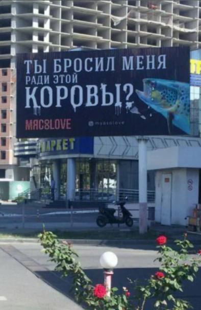 Всяческие картинки 19.11.2021