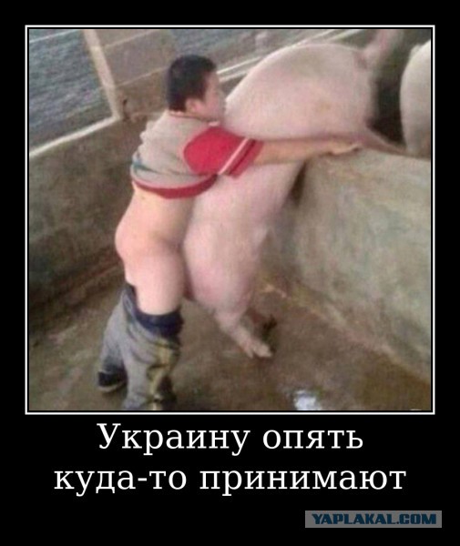 В офисе президента Зеленского готовятся к разделу Украины по Днепру