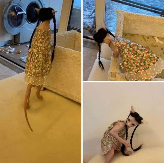 Вторник. Котэ. Пора