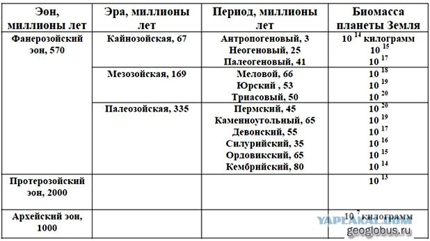 Развитие жизни в палеозойской эре