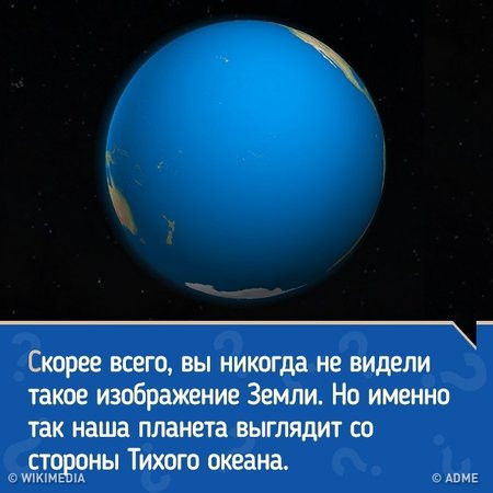 Чуток картинок 23.01.22