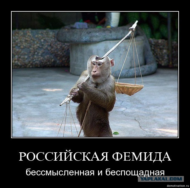 Новое дно судилищ за цитаты классиков