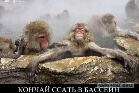 Древнеримские бани: чем в них занимались?