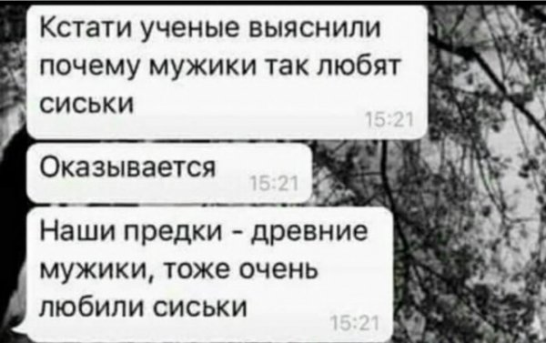 Подборка картинок из загруженного в сети