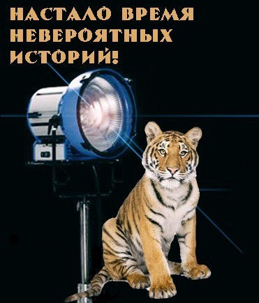 Армянин и лютый пздц (не ходите девки в клубы по ночам)