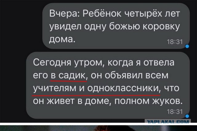 Скриншоты и комментарии из социальных сетей 22.07.22