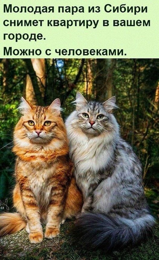 Картинки и мемы, всем хороших выходных