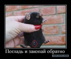 Что делает мужчина перед свиданием с любовницей?