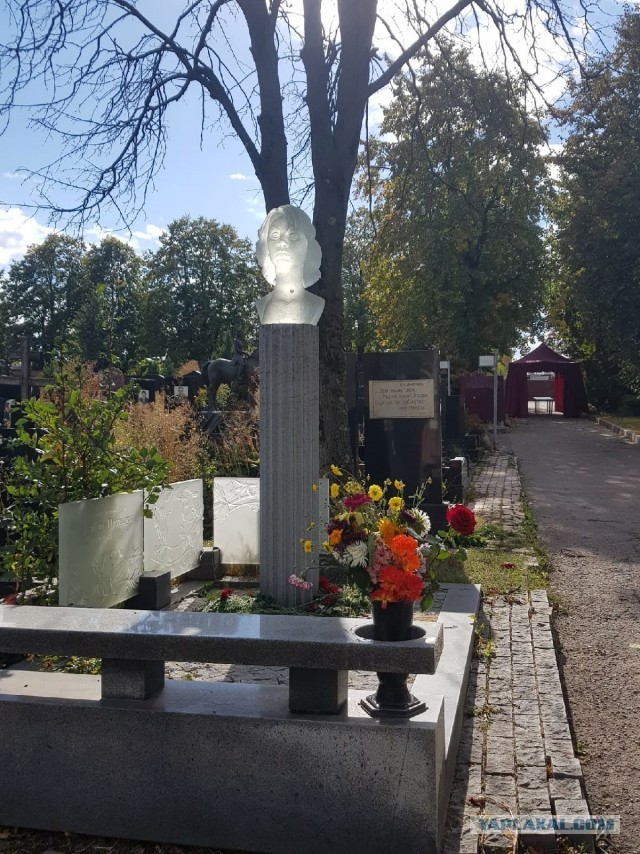Немного атмосферных фото со старых кладбищ