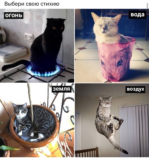 Дети, мы уходим