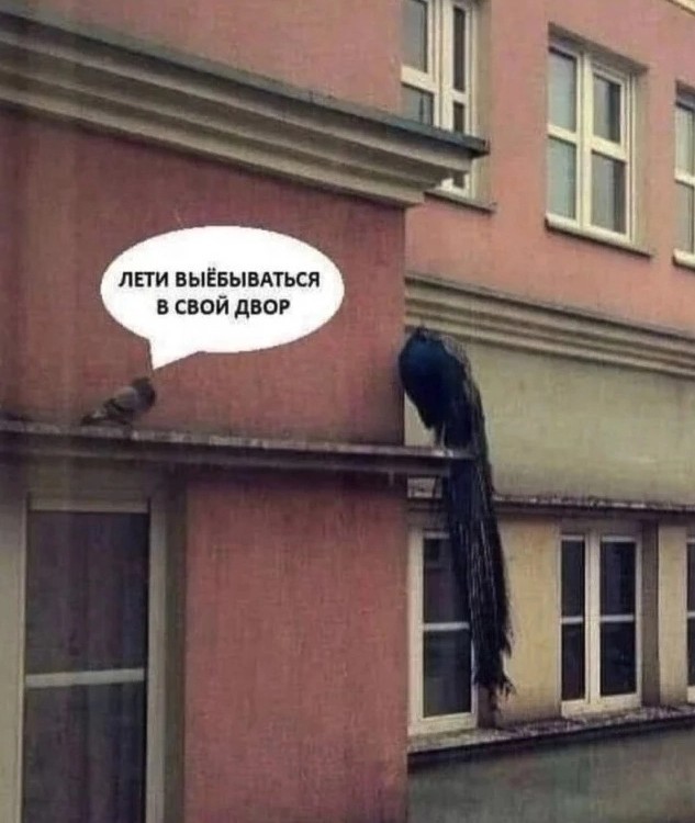 Нуштош 20.05.2023
