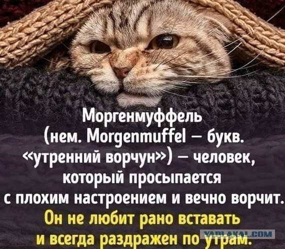 «На 35 тысяч никакой семьи не получится»: читатели поспорили о том, сколько должен зарабатывать мужчина