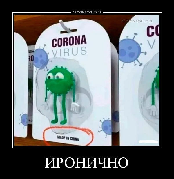 Перлы 12.10.23