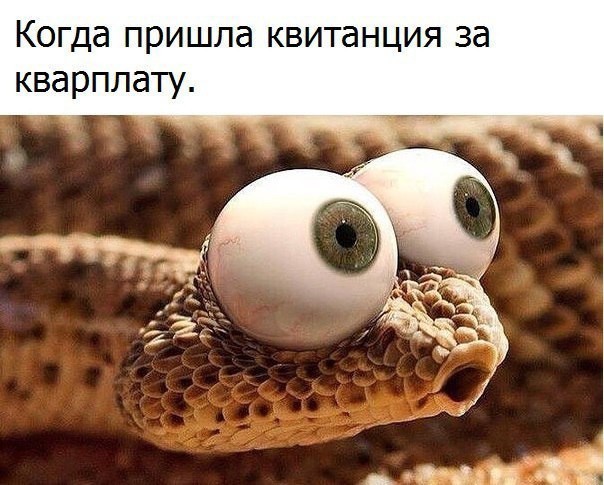 Весёлый полтишок 01.11.23