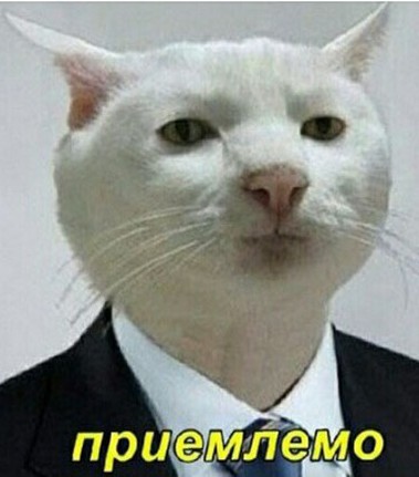 Появились первые кадры сериала «Фоллаут»