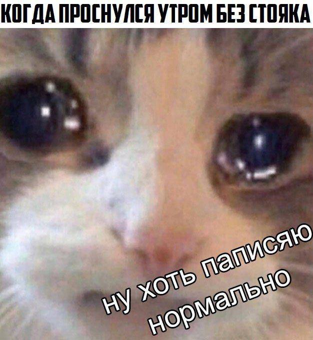 Пошло-тупые картинки