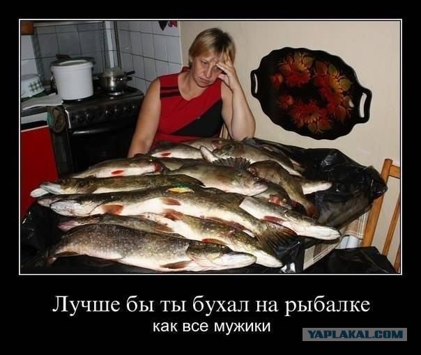 "- Показуй рыбов! – Их есть у меня"