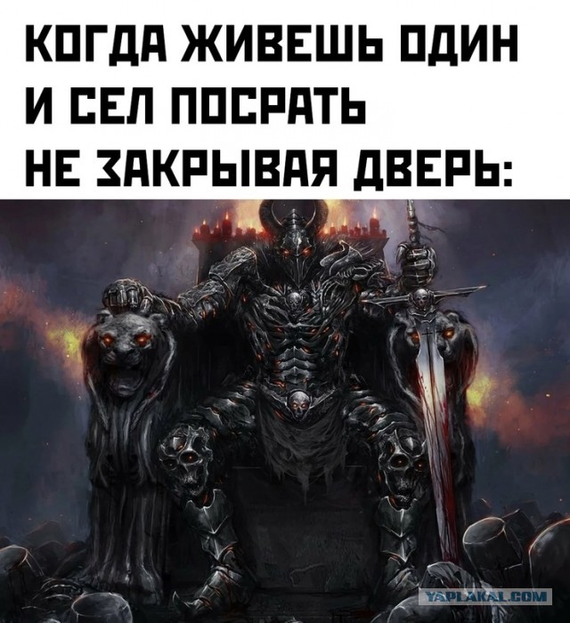 Весёлый полтишок 13.02.24