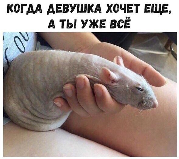 Ремонт в доме - моя страсть!