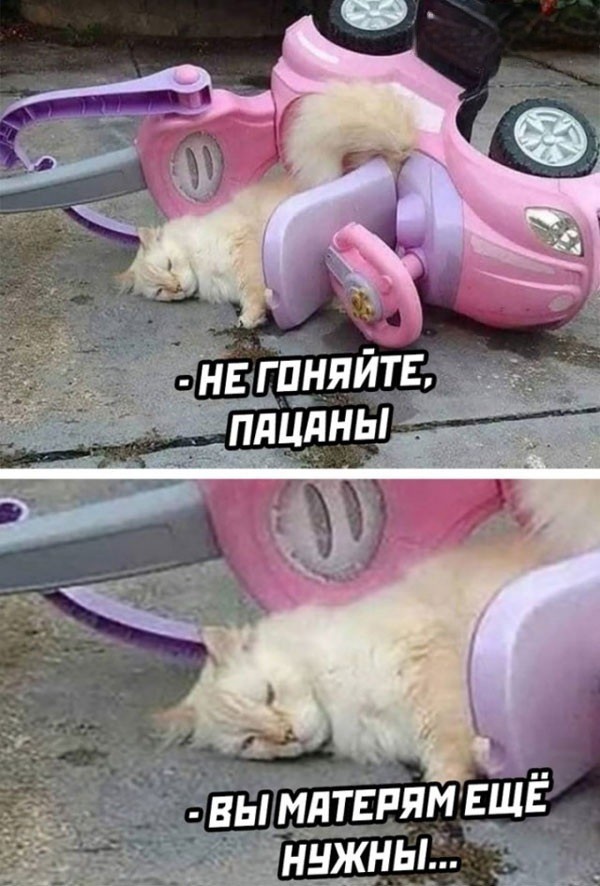 Никакие картинки и тексты