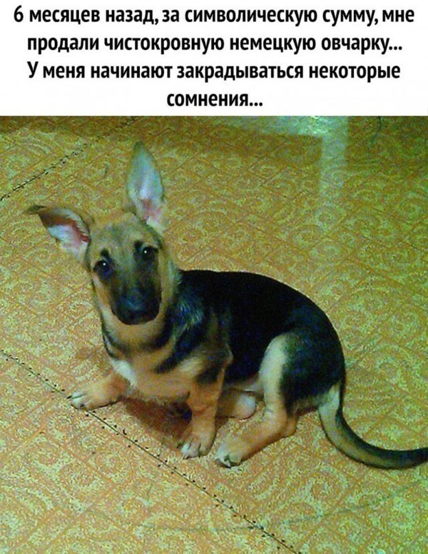Картинки разные с надписями и без