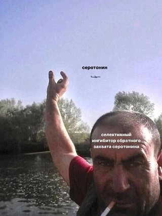 А кто это мы?