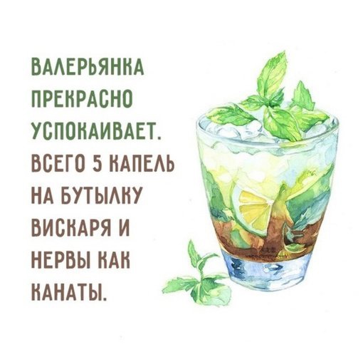 Так себе картинки 11.10.24