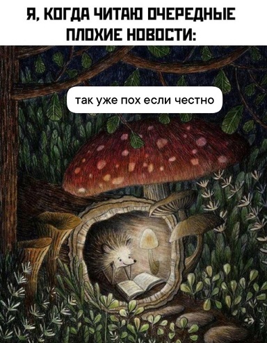 Очередь за забором