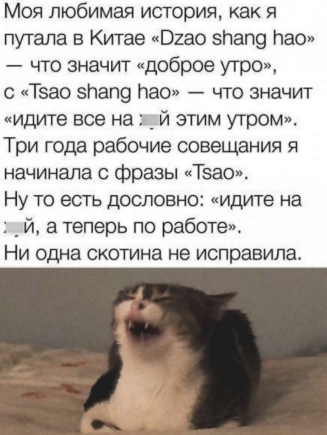 К котовторнику: подборка картинок-баянов с котиками и про котиков. Выпуск 6
