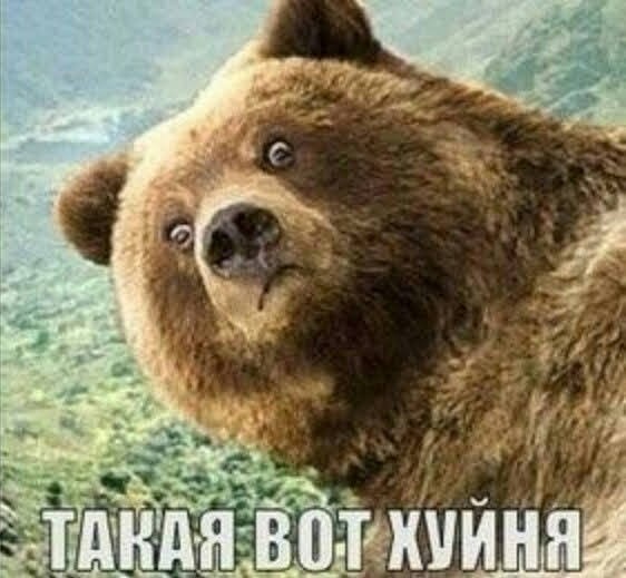 Веселые картинки в среду, практически пятницу 30.04