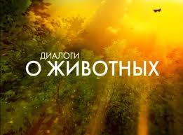 В Ютуб начали заливать пропаганду по созданию позитивного образа мигрантов