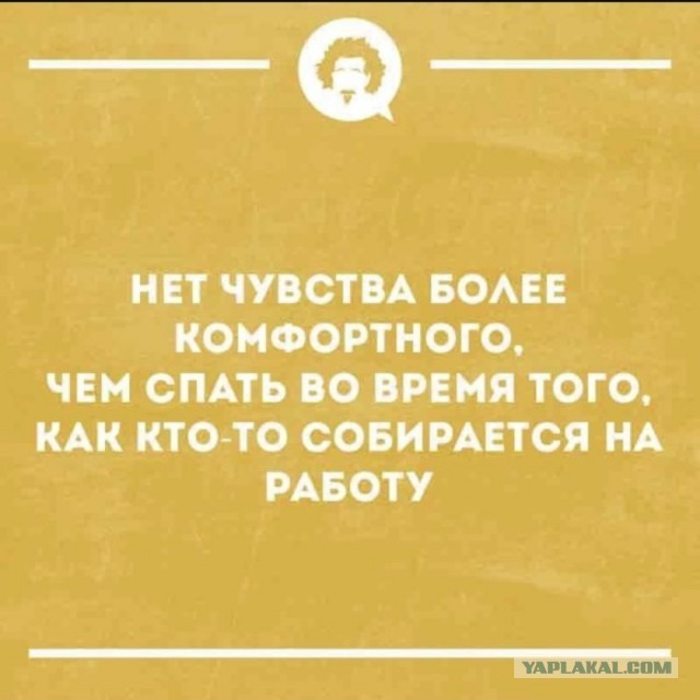Картинки для деградации-4 (разной степени свежести)