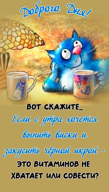 Так себе картинки 17.09.25
