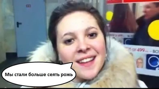 Мы стали больше сеять рожь
