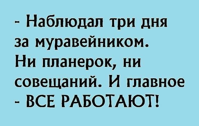 Куча мала 2