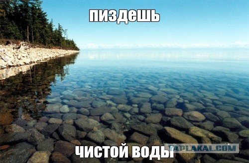 Семья лишилась купленной квартиры из-за ушедшего в запой предыдущего хозяина