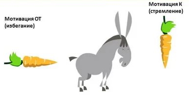 Работа с ОЗОН как продавец(охренели совсем)