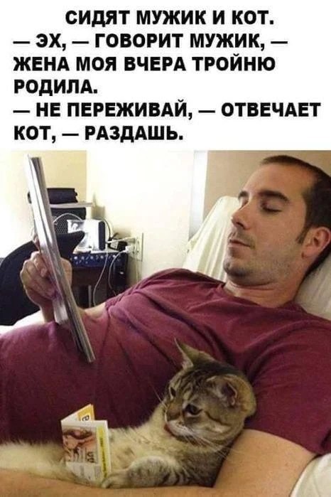 Картинки для деградации 186 (разной степени свежести)