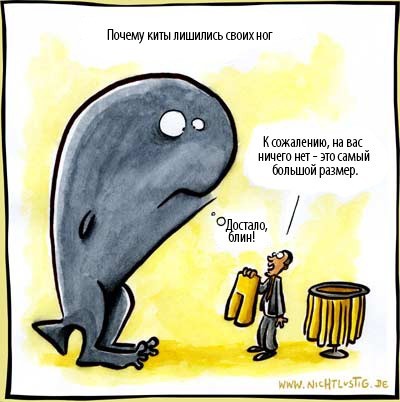 Поэтому детеныша кита и называют «телёнок», так как когда-то они были копытными.