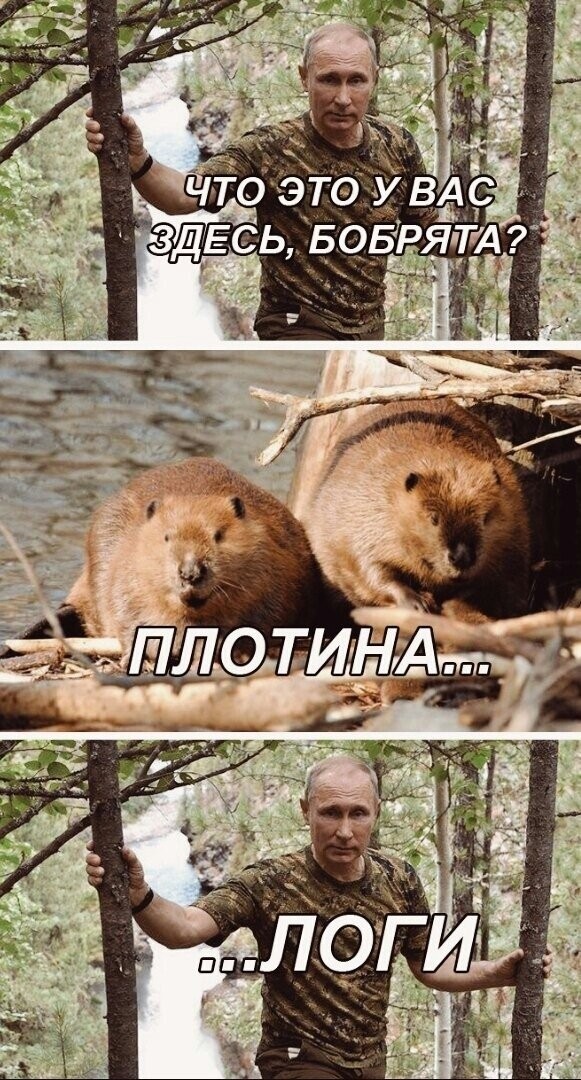 Профессор Савельев про налоги