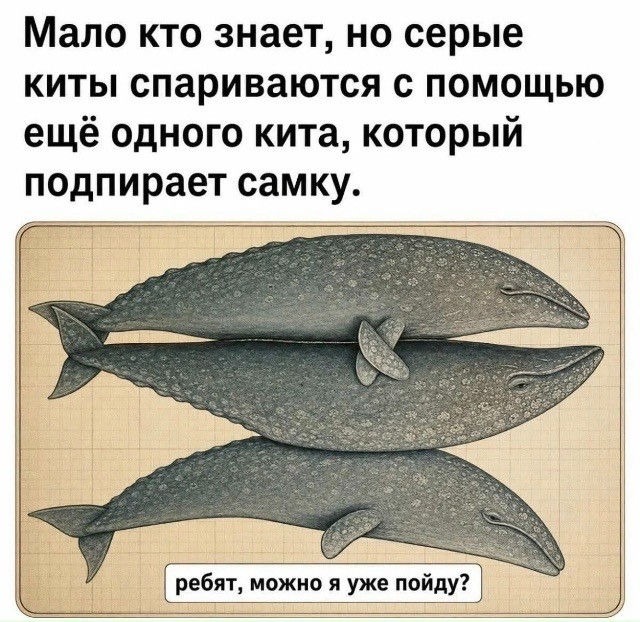 Веселые картинки в понедельник (12.10)