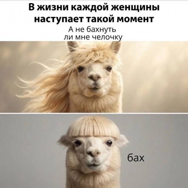 Веселые картинки в пятницу (23.10)